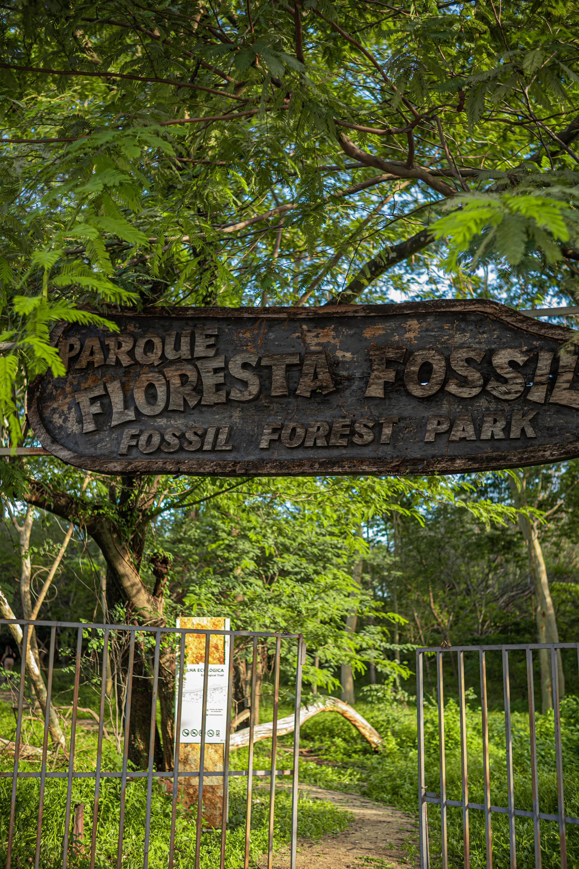 Entrada do Parque Floresta Fóssil de Teresina
